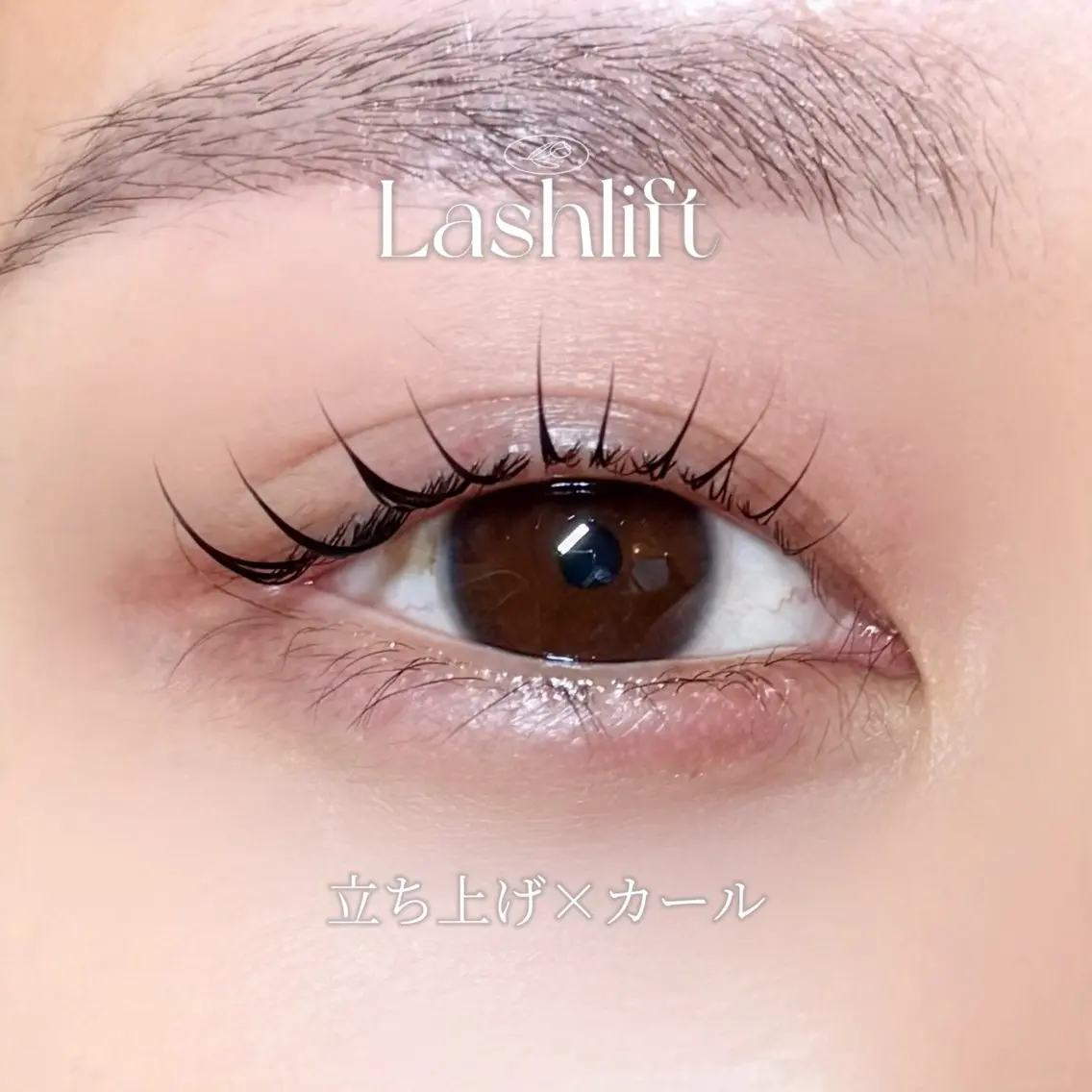 マツエク・マツパ マツパ LunariLash 代表Rina🌙のマツエク・マツパデザイン