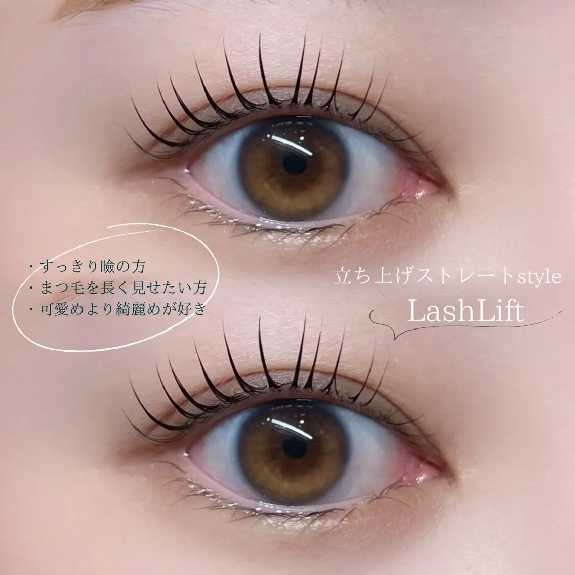 【🤍6月ご新規様平日限定🤍】ラッシュリフト+(高濃度トリートメントorアイシャンプーつき) ¥4,700-の写真