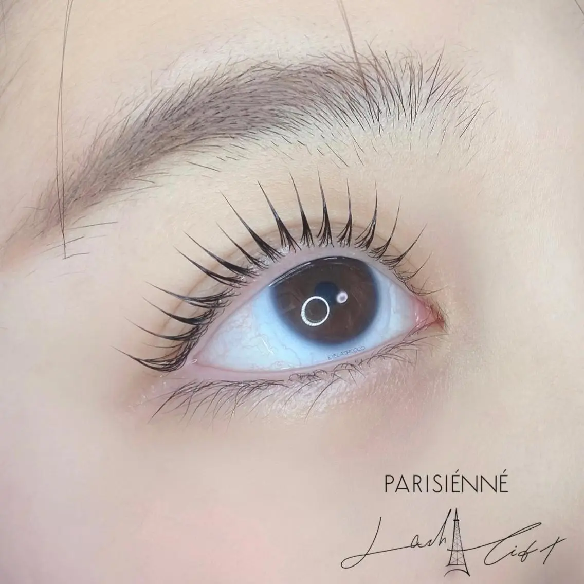 マツエク・マツパ マツパ EYELASH COCOのマツエク・マツパデザイン
