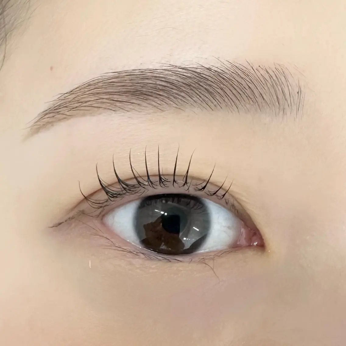 《平日限定》パリジェンヌor選べるまつ毛パーマ+美眉アイブロウWax +間引きの写真