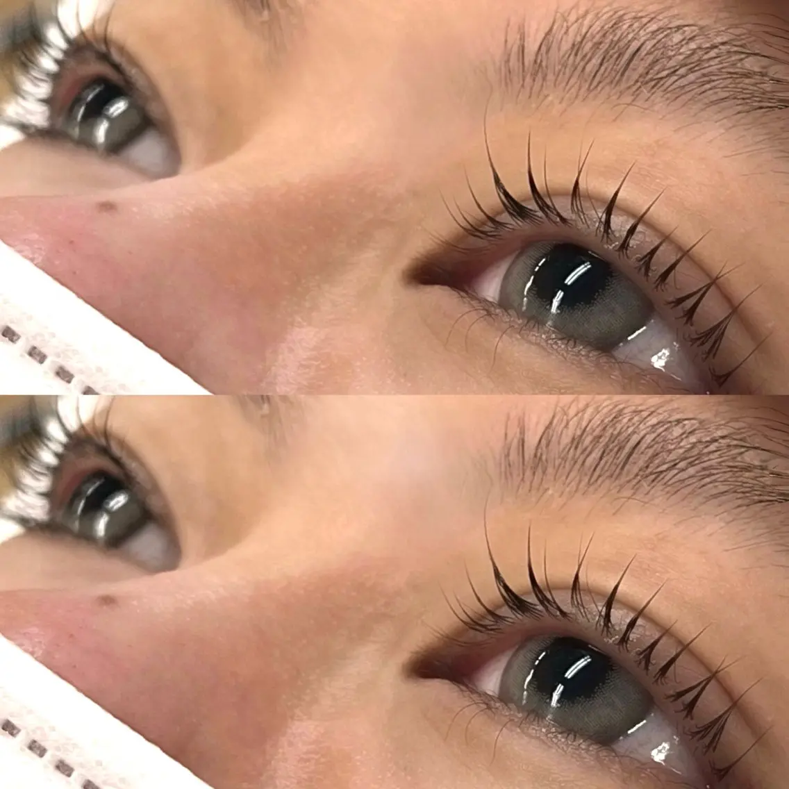 【根元の立ち上げ👀】パリジェンヌラッシュリフト♡の写真