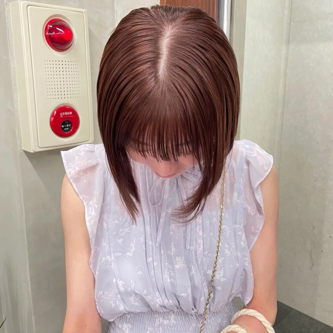 ショート カラー カット ヘアカラー 🤍ブリーチなしカラ ー/渋谷/YUU🤍のヘアスタイル