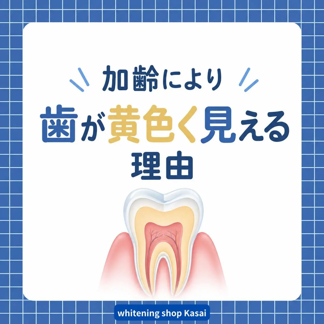 メンズ ホワイトニング ショップ葛西店のその他イメージ