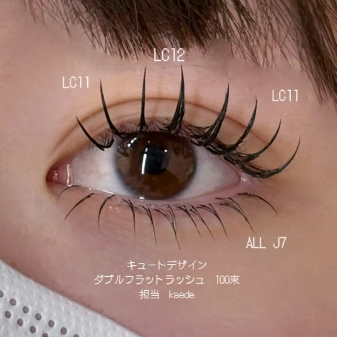 【韓国束感★ダブルフラットラッシュ60分】80束✨の写真