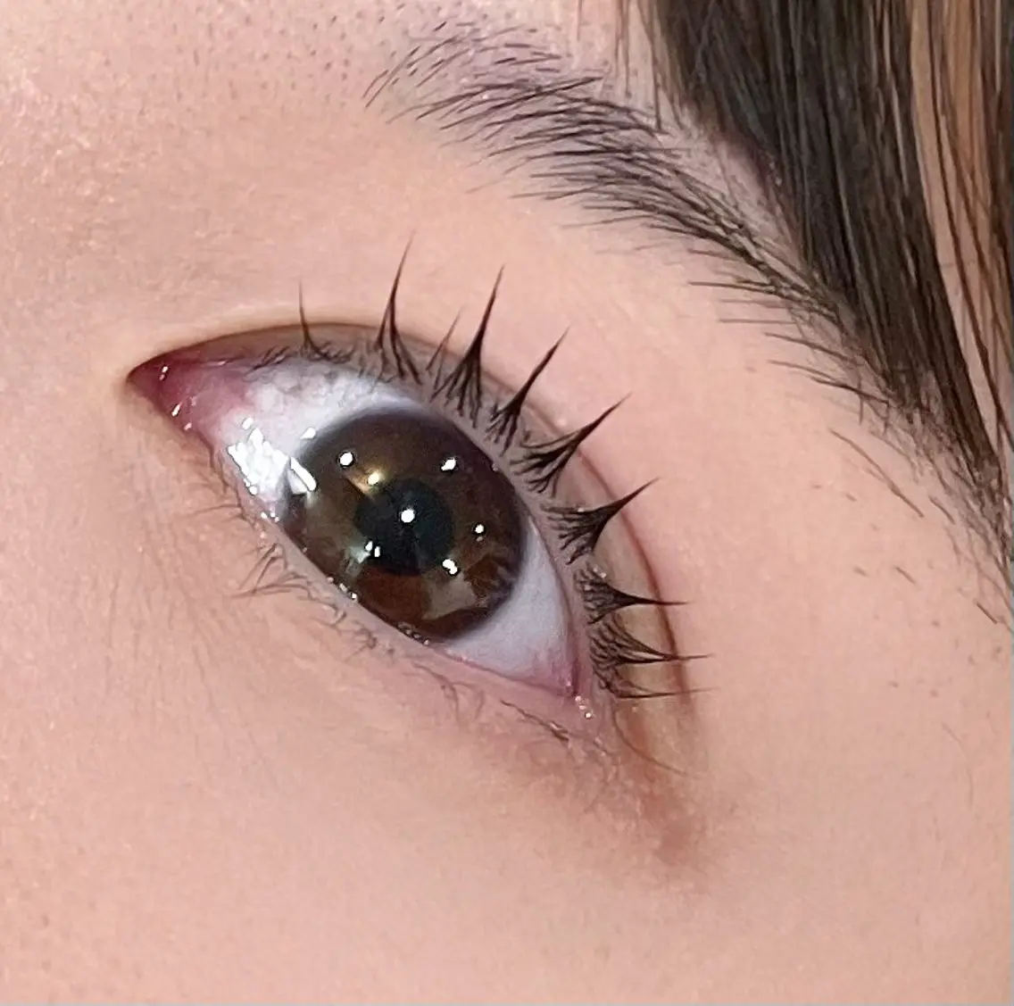 マツエク・マツパ 👑EYELA 柏／ 川村👑の眉毛・アイブロウイメージ