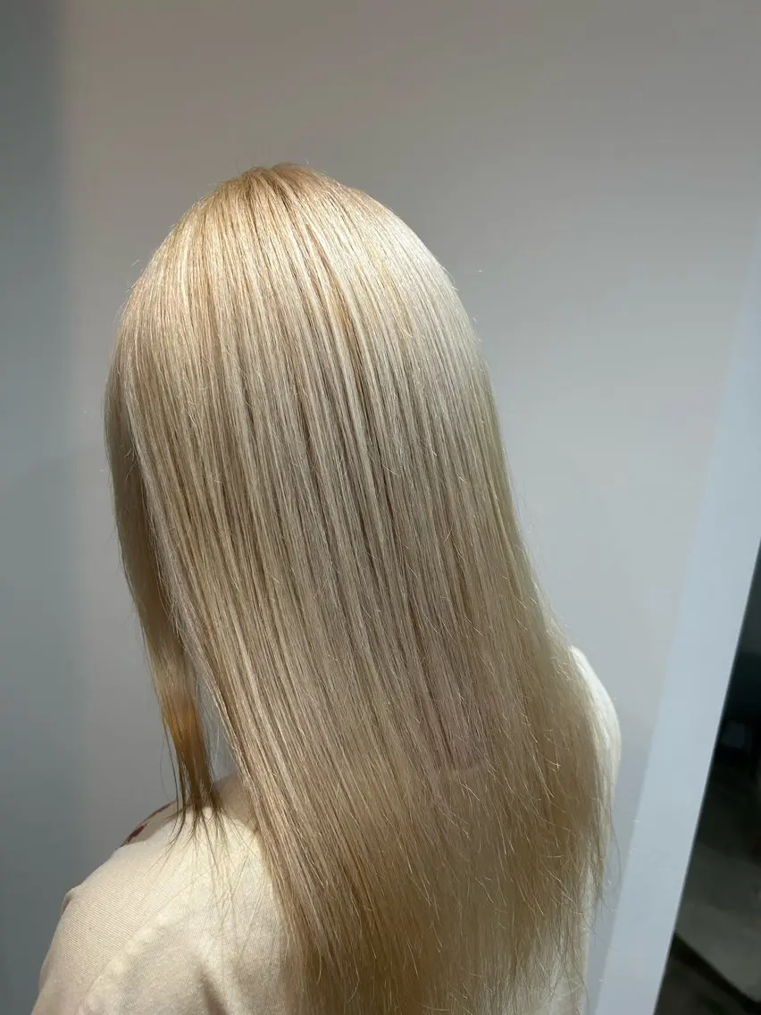 ロング カラー ブリーチ ブロンド ダブルカラー ハイトーンカラー ホワイトブロンド 🌊インナーカラー 🐬櫻井海星のヘアスタイル