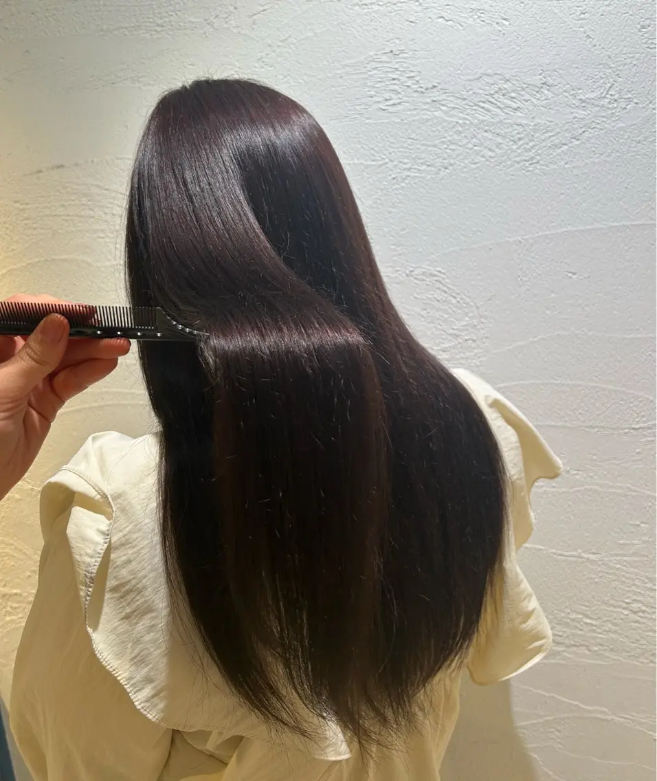 ロング カラー 🩶MISA 🩶のヘアスタイル
