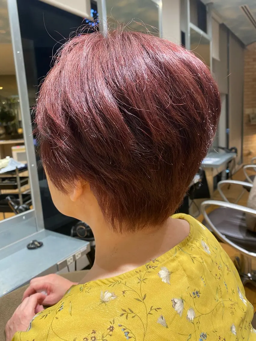 ショート 鈴木 絢麗のヘアスタイル