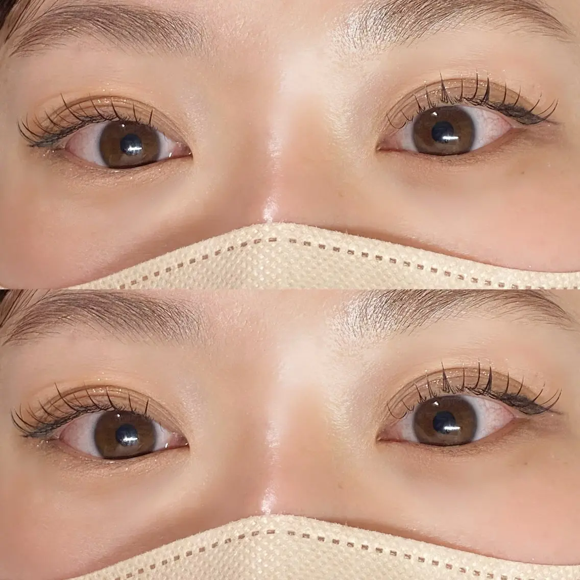 🎗️ご新規様限定🎗️フラットラッシュ120本の写真