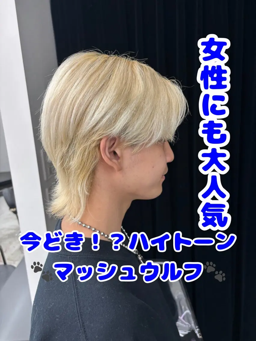 カラー メンズ メンズブリーチ メンズハイトーン マッシュ メンズウルフカット ブリーチ カット ヘアカラー トリートメント 🐶ひかる🐶 JILLSTUDIOのヘアスタイル