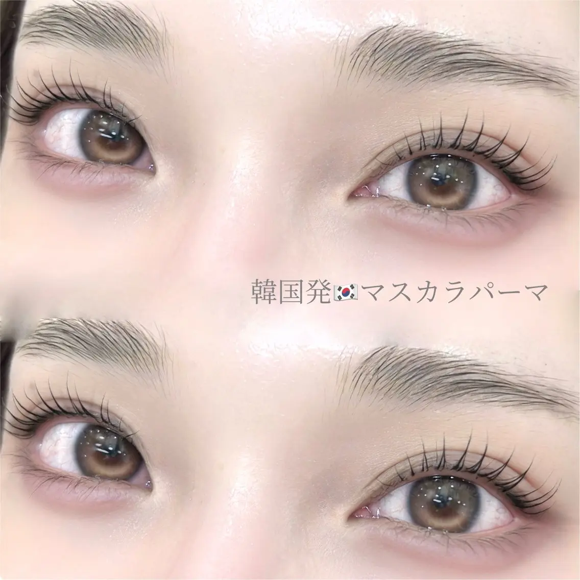 高濃度トリートメント🩵マスカラパーマ👀 ෆ ̖́- パリジェンヌorパーマ🎀¥5600(コーティング付き)の写真