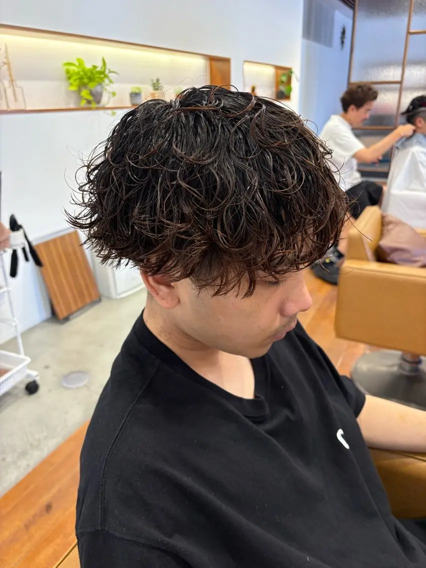 ショート パーマ ツイストスパイラルパーマ スパイラルパーマ カット パーマ 杉井 響のヘアスタイル