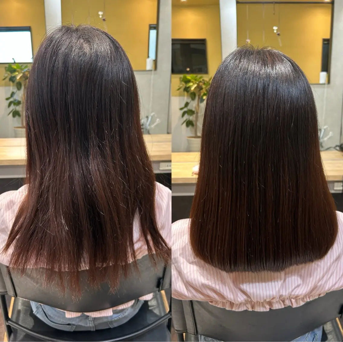 セミロング パーマ ストレートパーマ カット 縮毛矯正 トリートメント hubhair レイヤー/透明感のヘアスタイル