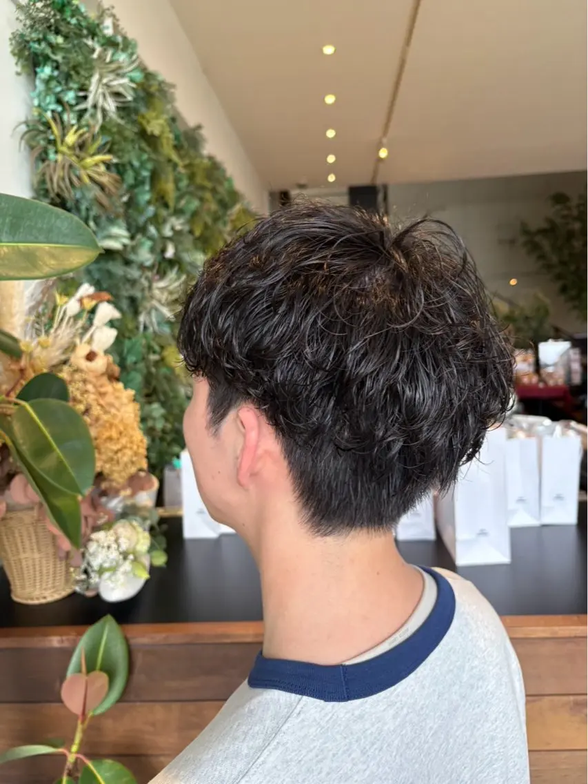 ショート パーマ メンズ メンズパーマ カット パーマ 高橋 乙葉のヘアスタイル