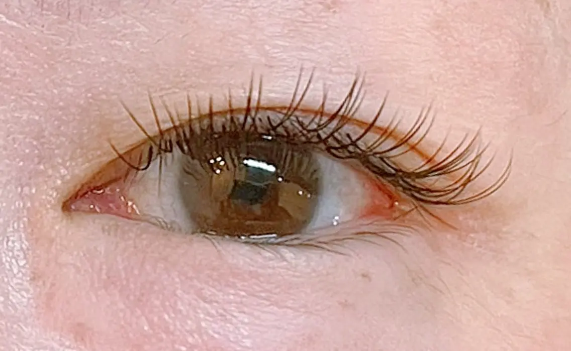 🩷ダブルフラット60束（120本）🩷モデルさん募集中！の写真