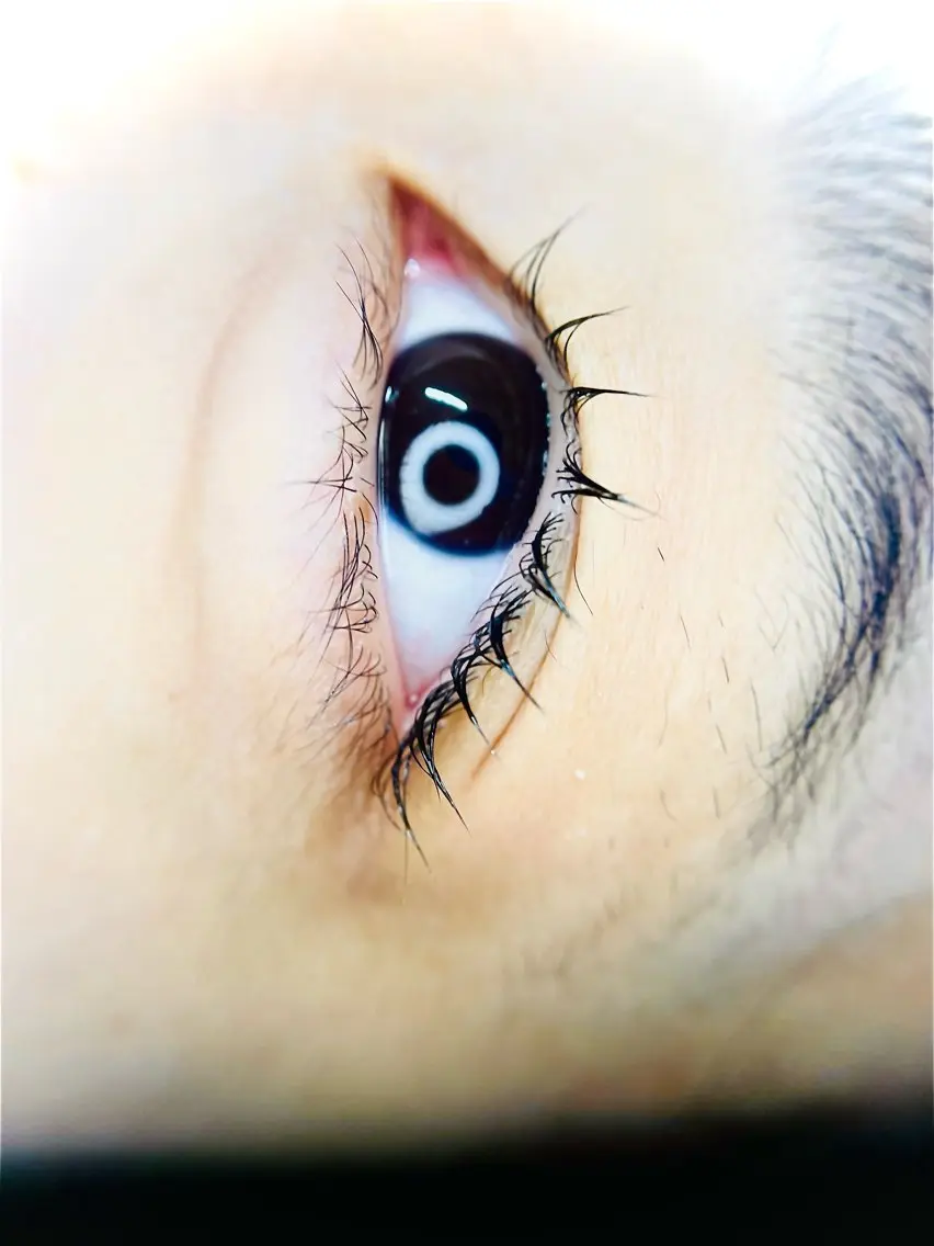 パリジェンヌラッシュリフトコーティング付きの写真