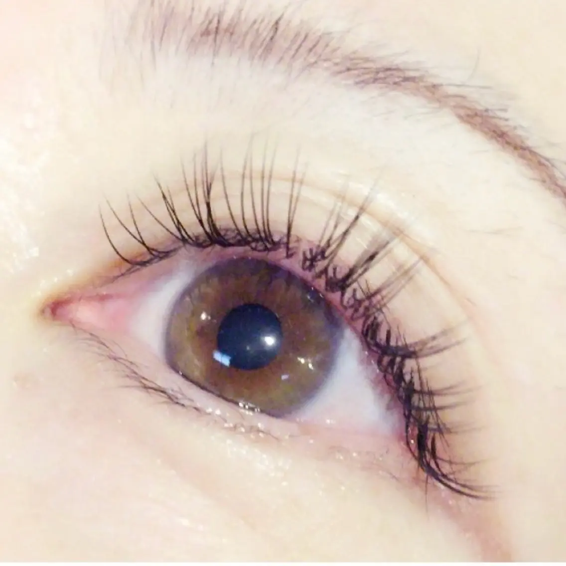 マツエク・マツパ eyelash catwinkのマツエク・マツパデザイン