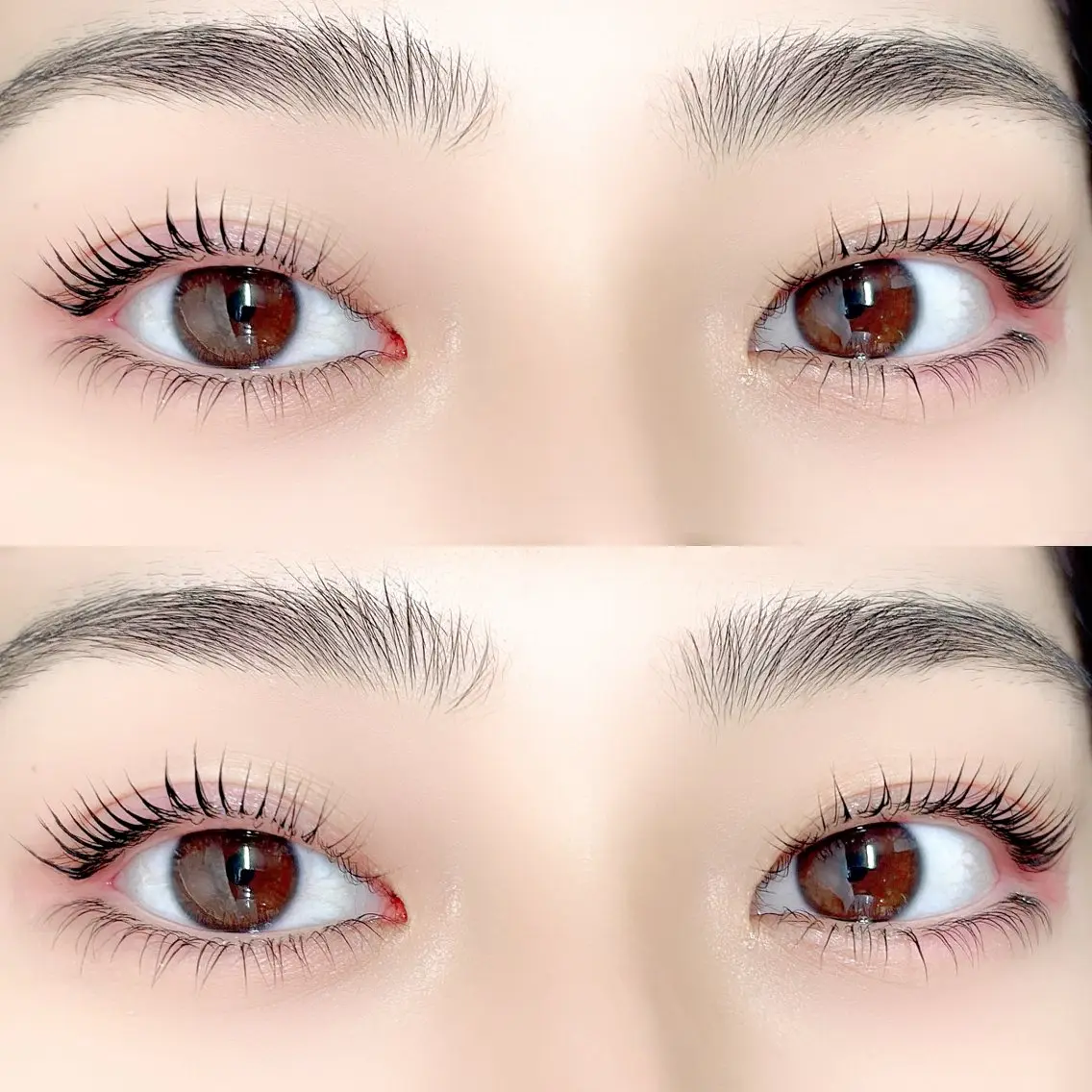 ブラックティント🖤上下まつげパーマ/パリジェンヌ➕550円※エクステのオフがある場合は10分前来店(オフ代550円)の写真