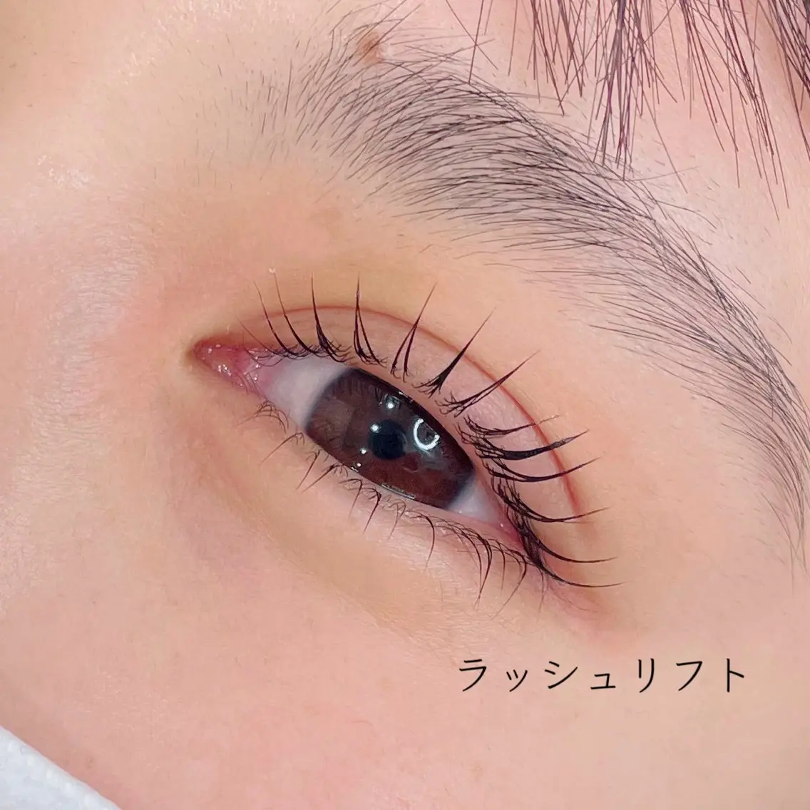 マツエク・マツパ 下まつげエクステ 一重×まつ毛パーマ men'sアイブロウ まつ毛パーマ/さちのマツエク・マツパデザイン