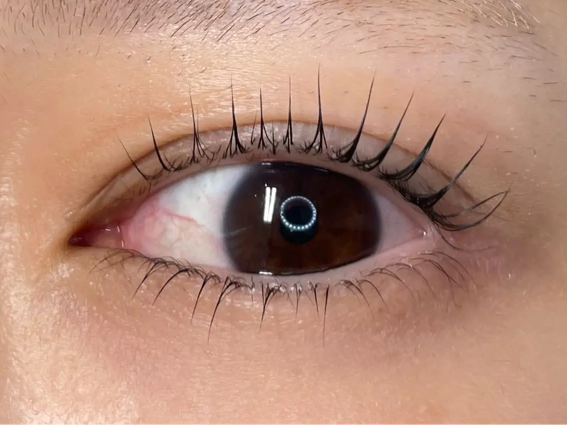 マツエク・マツパ マツパ eyelash CLAYの眉毛・アイブロウイメージ