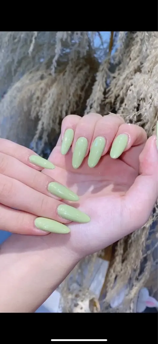ネイル 韓国ネイル マグネットネイル 持ち込み ハンドネイル Dyo Nail_Royalのネイルデザイン