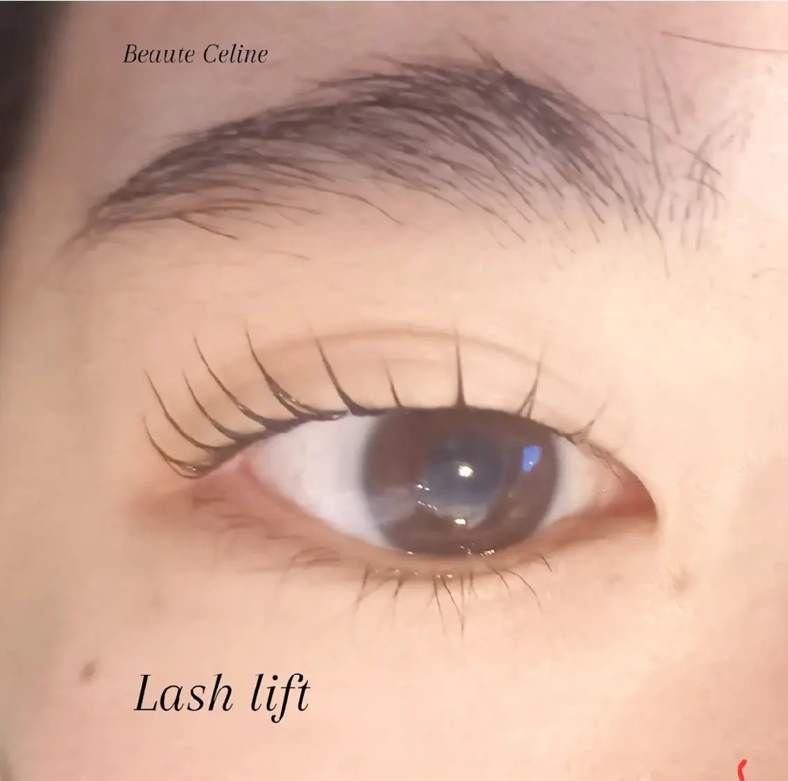 マツエク・マツパ マツパ LED✨beaute Celine🌛🌹のマツエク・マツパデザイン
