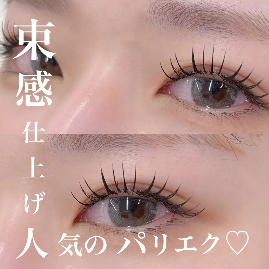 マツエク・マツパ マツエク BEIGE🥀金山 Yuhkiのマツエク・マツパデザイン