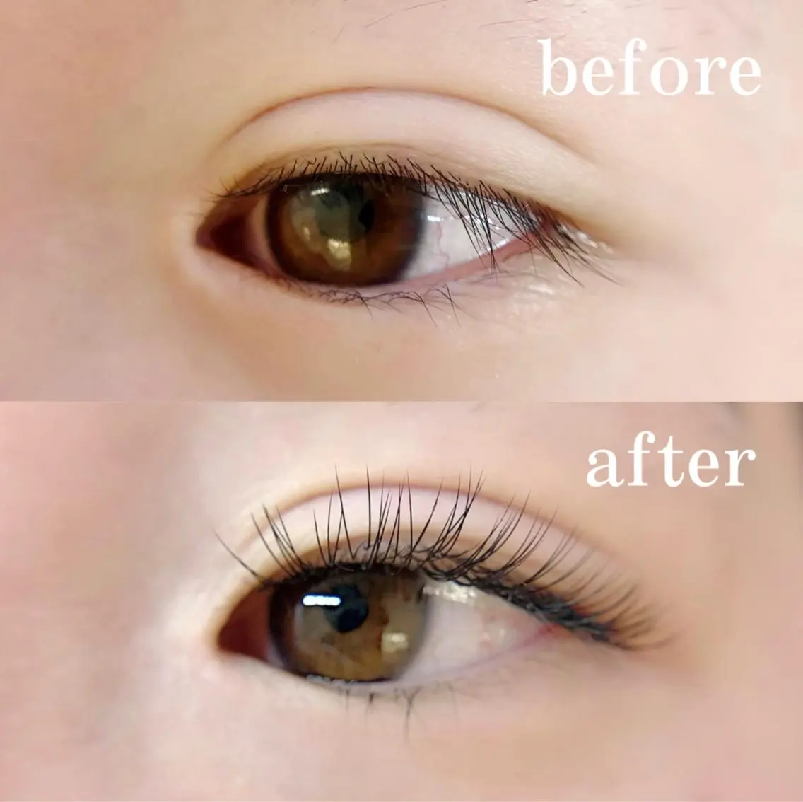 マツエク・マツパ フラットラッシュ マツエク eyelush salonのマツエク・マツパデザイン