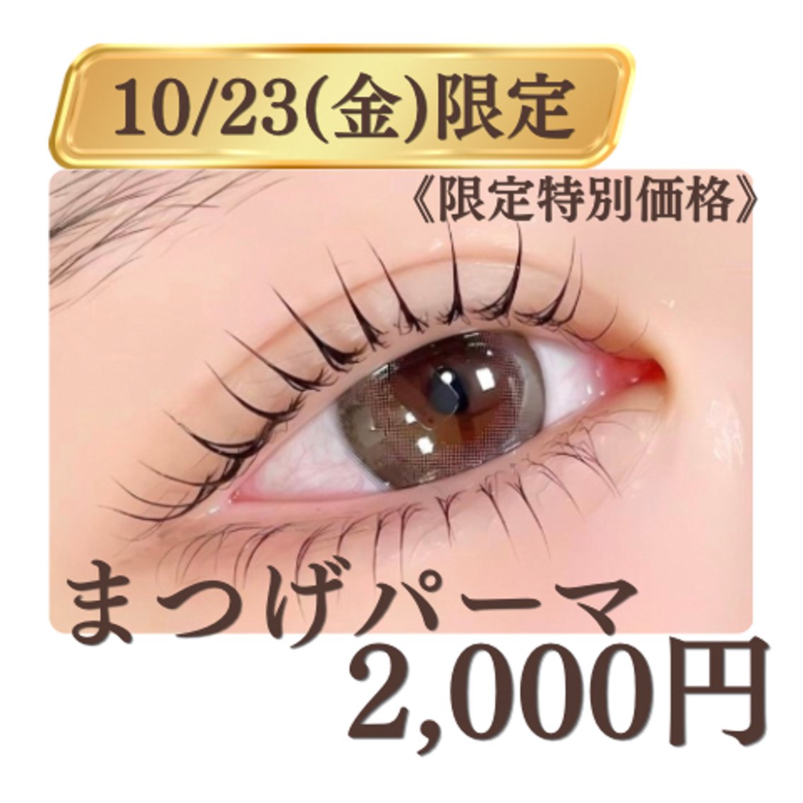 🚨【10/23(金)限定特別価格】🚨まつげパーマ練習モデル（上のみ）＊補足説明を必ず確認の上ご予約ください＊の写真