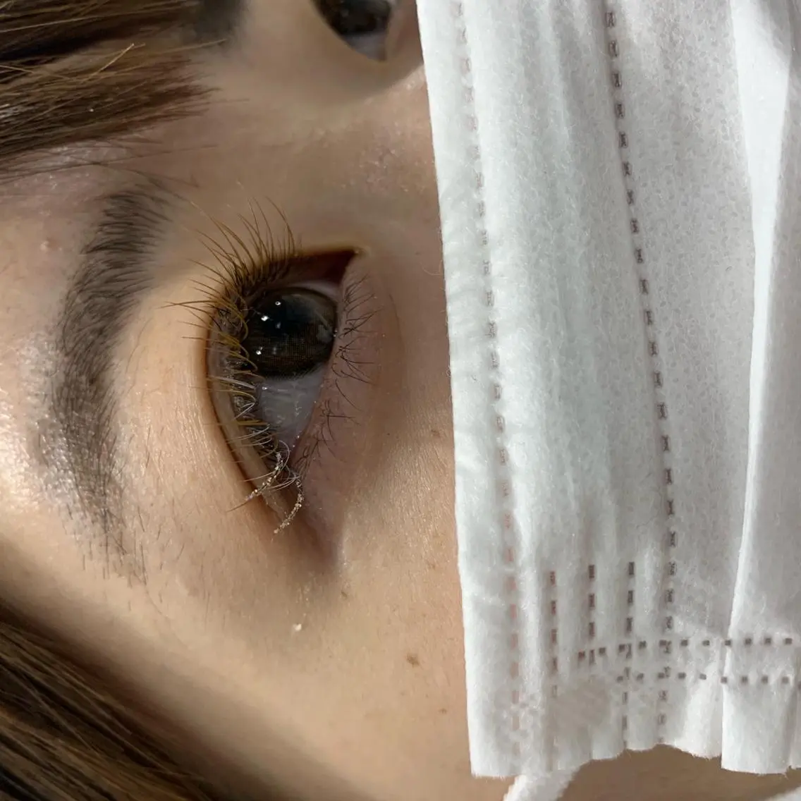 マツエク・マツパ ANY /Rinaの眉毛・アイブロウイメージ
