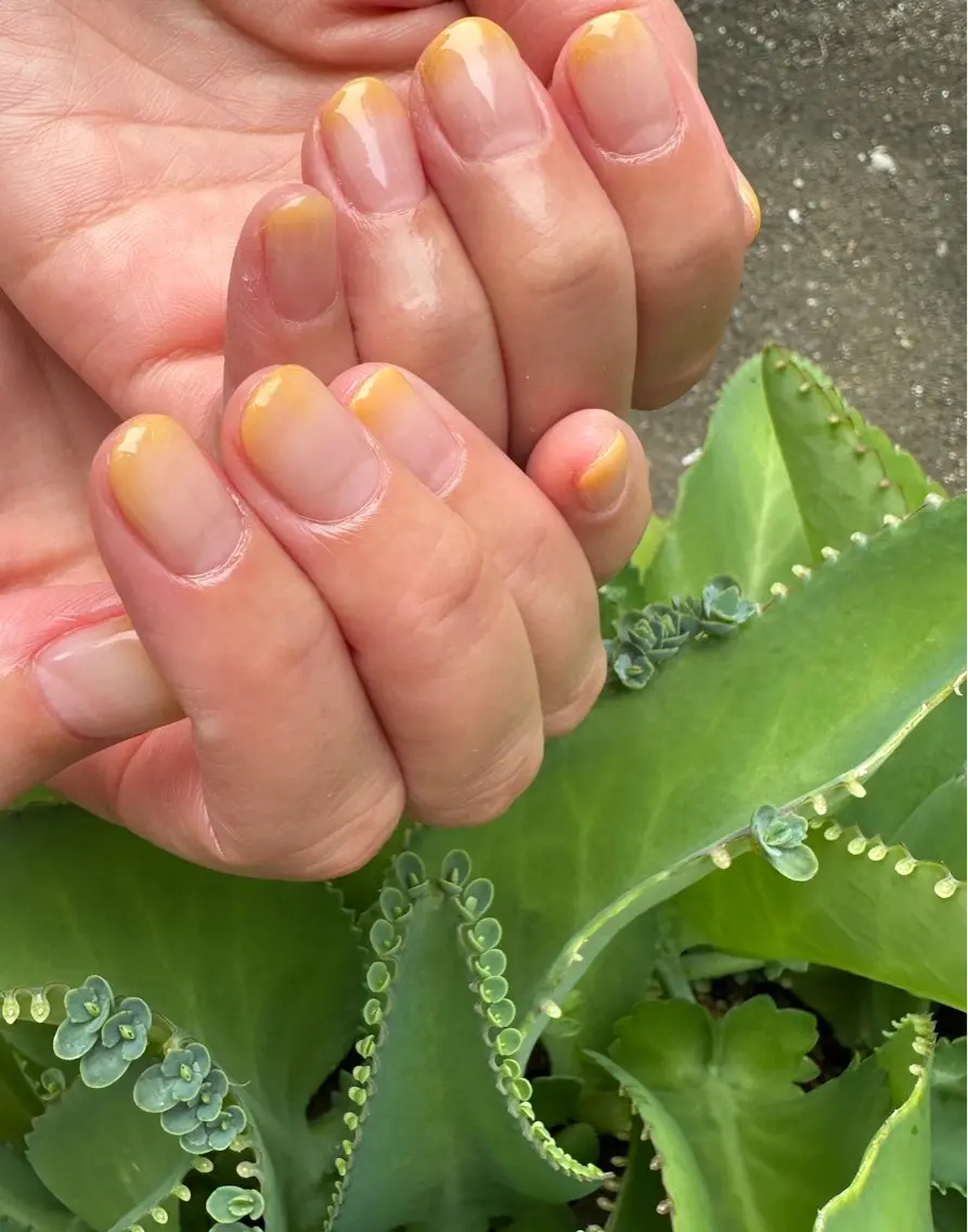 ネイル ハンドネイル フットネイル nailsalon ∞ ﾐｶﾅﾙ ∞のネイルデザイン