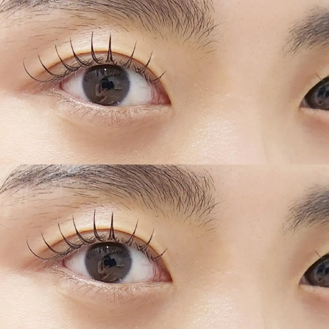 マツエク・マツパ Dカール フラットラッシュ まつげパーマ マツエク eyelist 🌙ゆうのマツエク・マツパデザイン