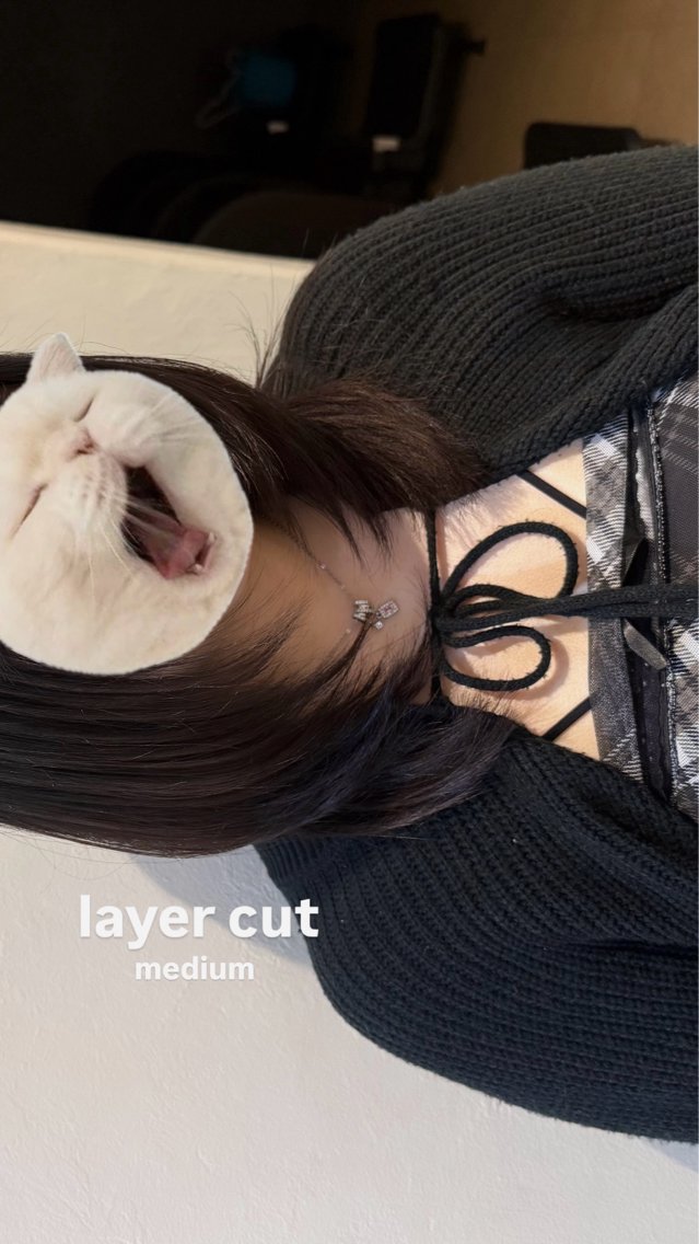 ミディアム Meguro/ レイヤーカット⭐️のヘアスタイル