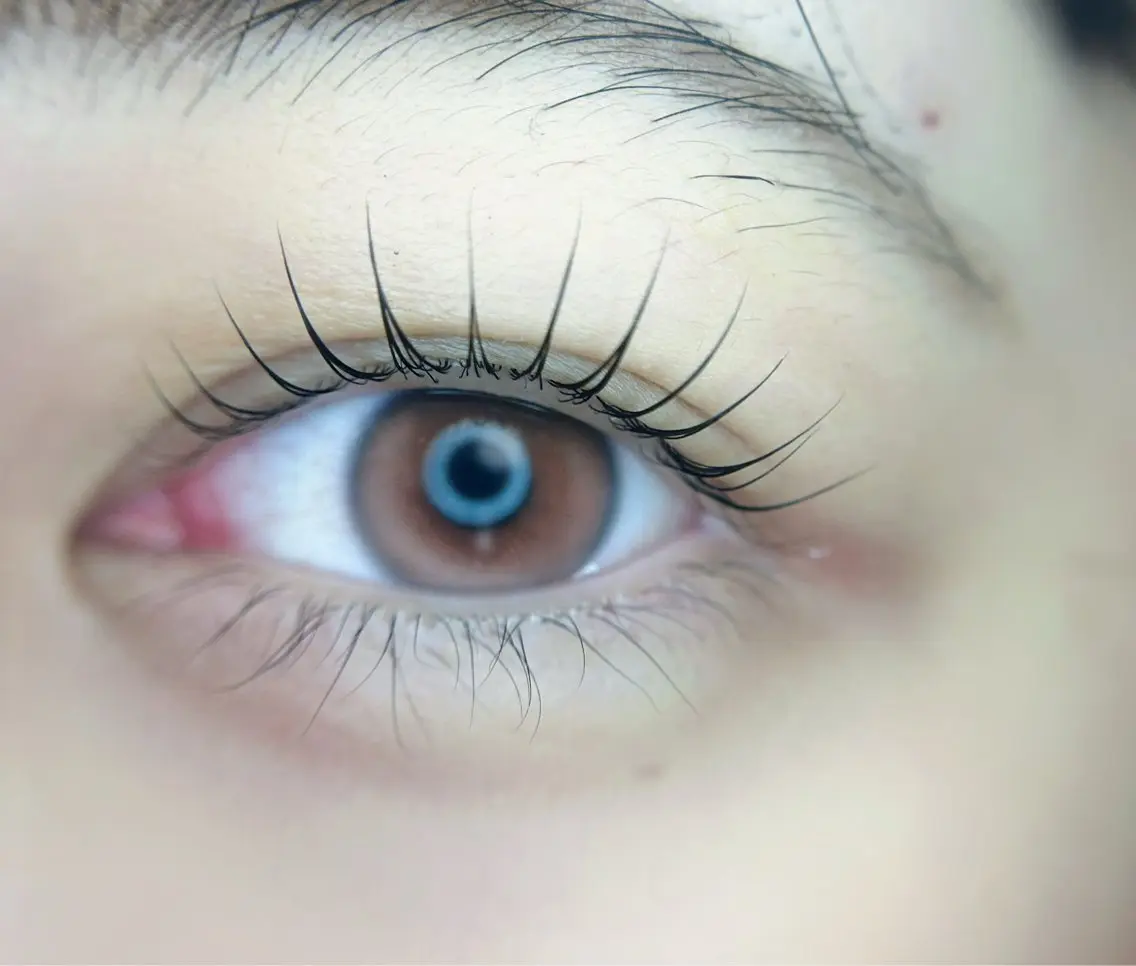 マツエク・マツパ 🎀eyelist. mizuki🐈⬛の眉毛・アイブロウイメージ