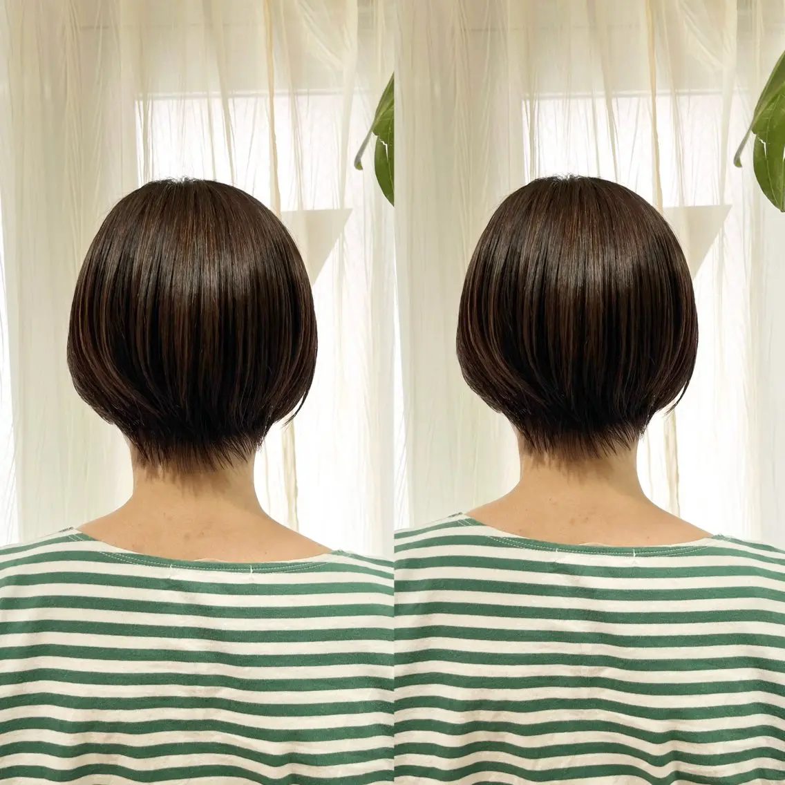 ショート カット 池谷 茉耶のヘアスタイル