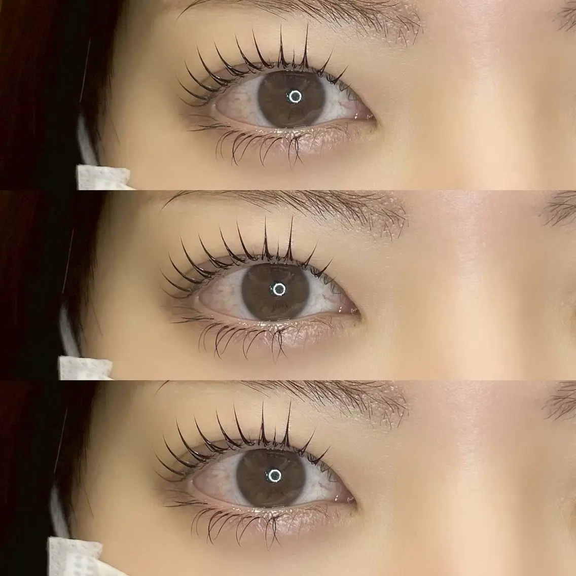 パリジェンヌラッシュリフト🎀の写真