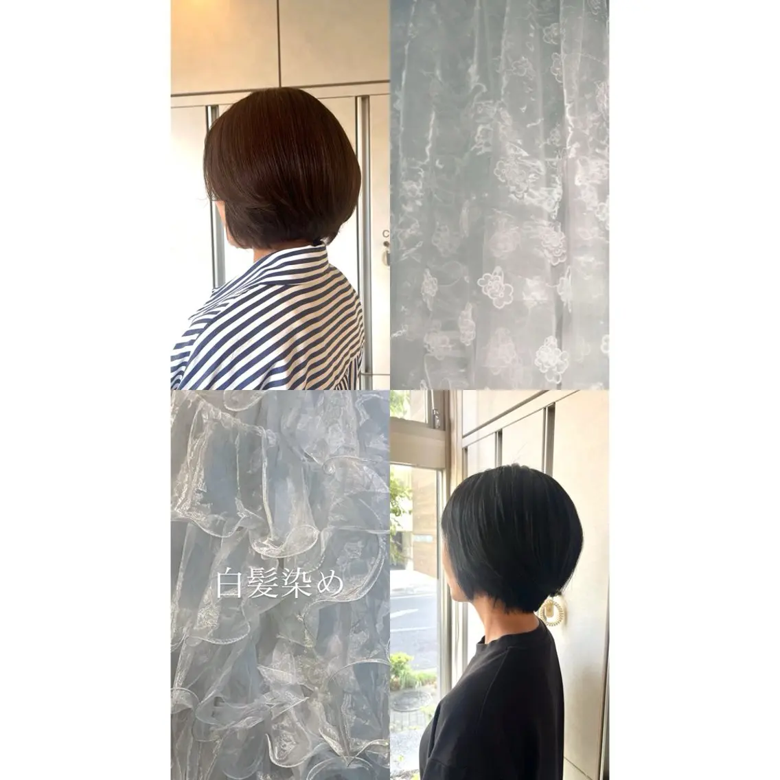 🦋白髪染め➕3step treatment🦋の写真