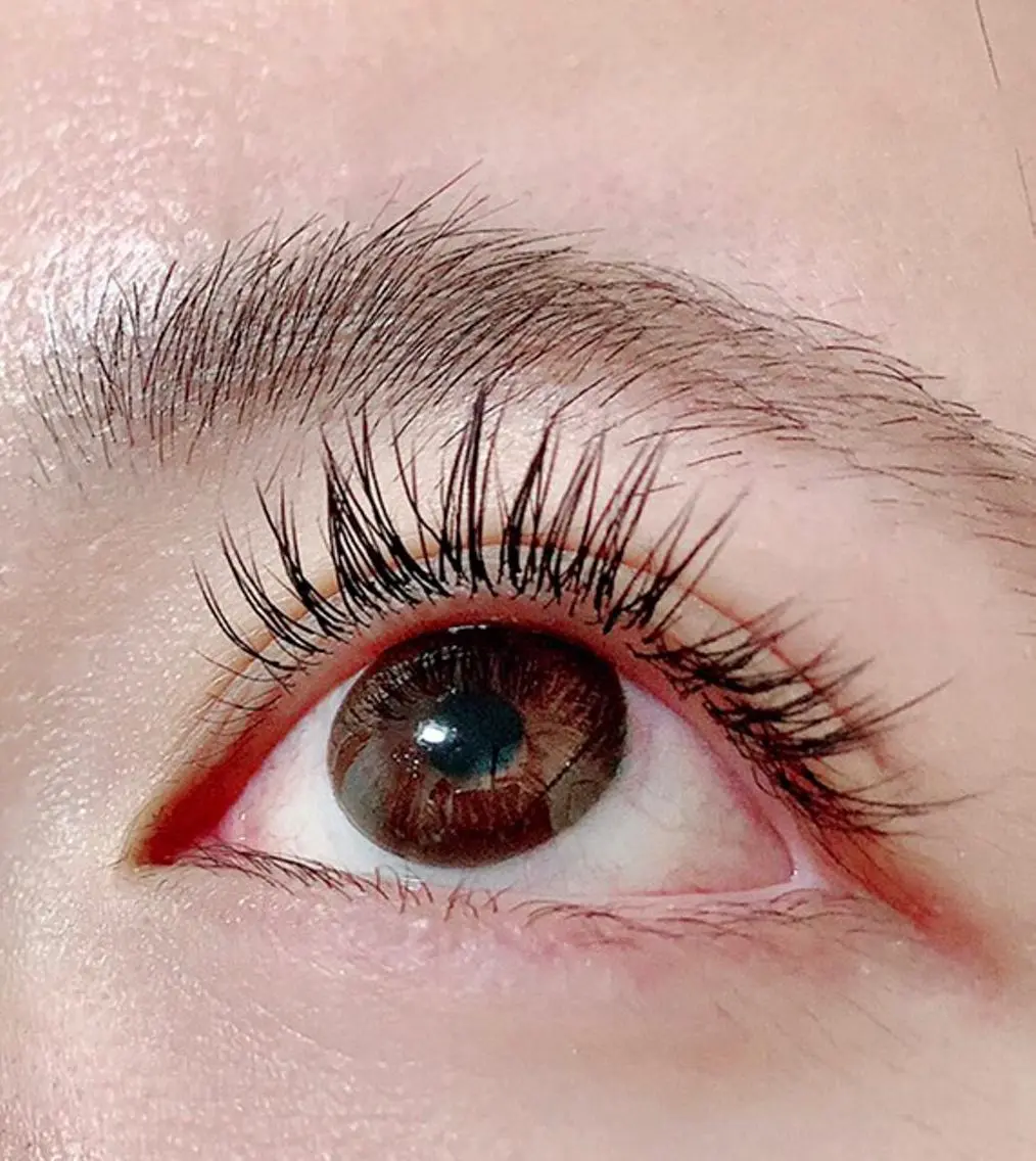 フラットマットラッシュ 120本 オフ込み/コーティング付きの写真