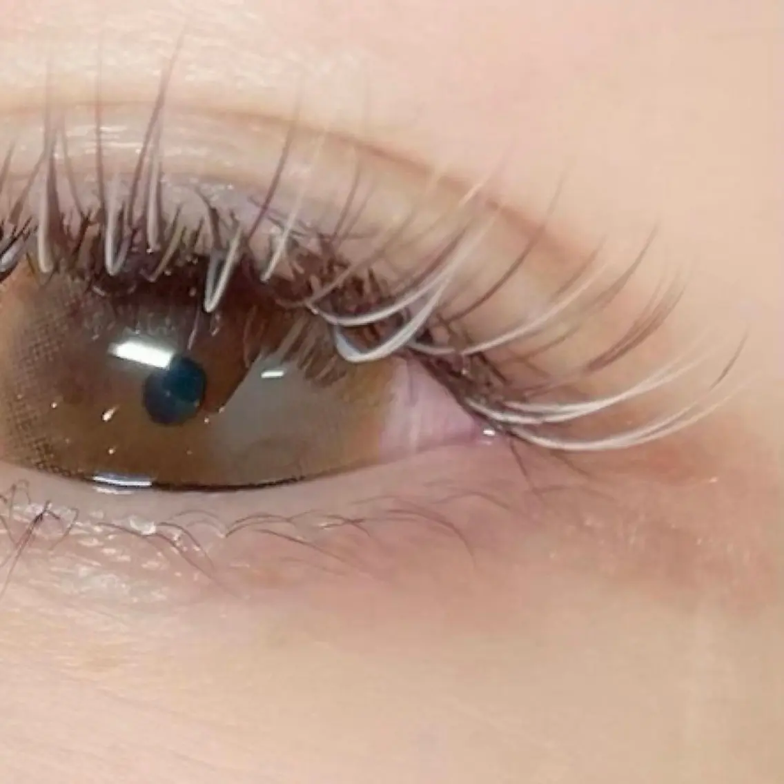 マツエク・マツパ マツエク eyelash /OLIVEのマツエク・マツパデザイン