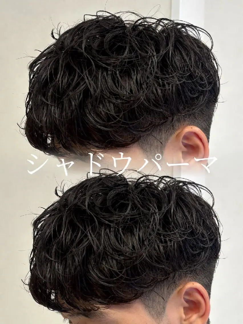 パーマ メンズ カット パーマ 新木 バレリアのヘアスタイル