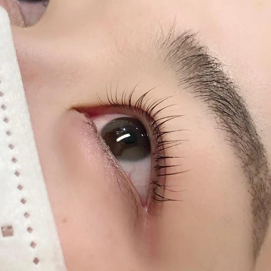 マツエク・マツパ パリジェンヌラッシュリフト FACETOO まつげパーマのマツエク・マツパデザイン