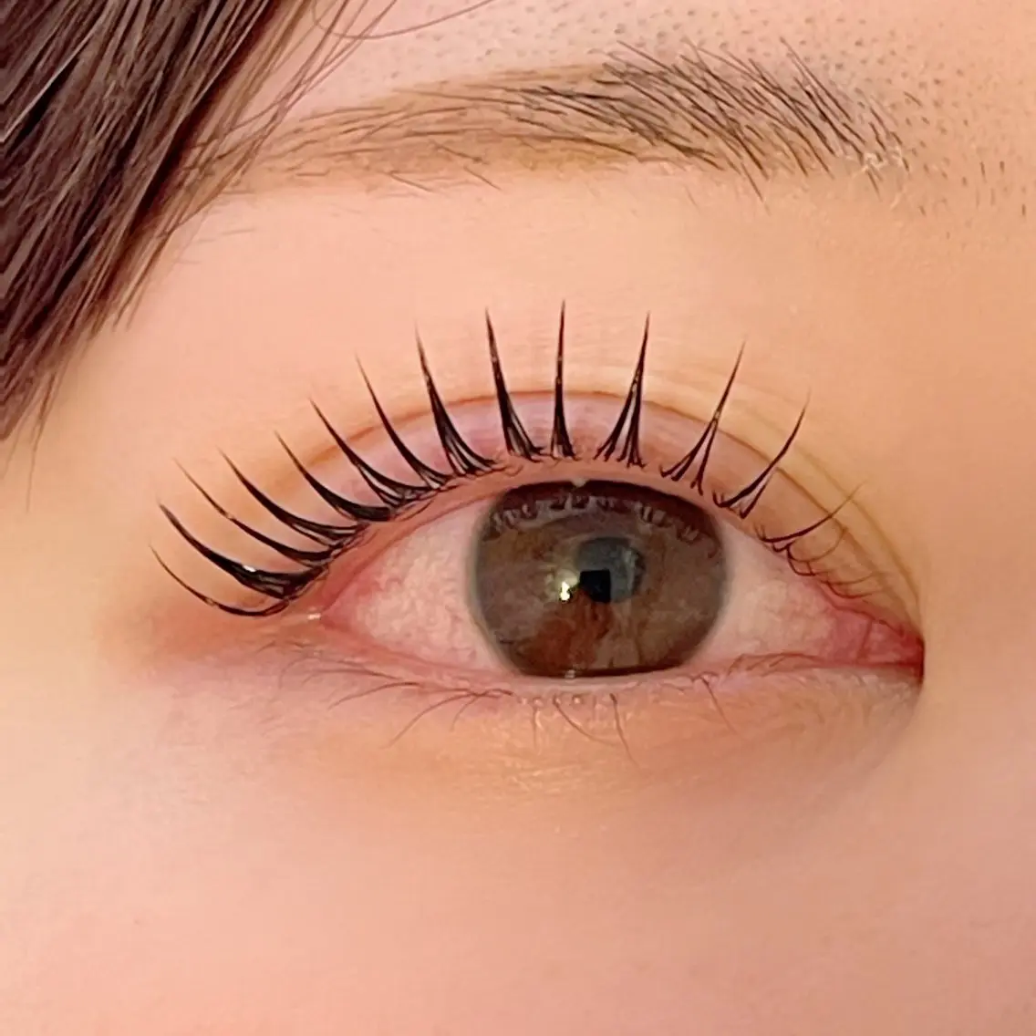 🫧上ラッシュリフト🫧《トリートメント&アイシャンプー付き》の写真
