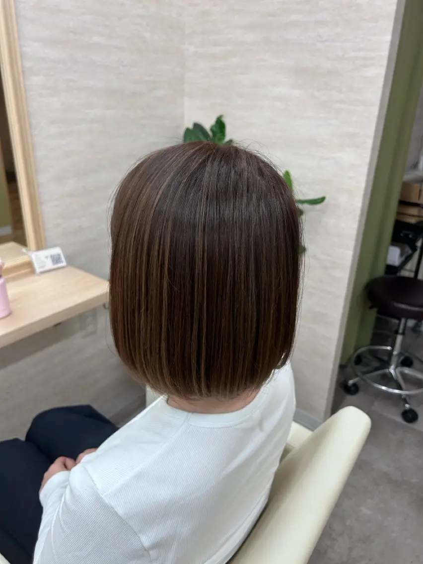 ハイライトモデルの写真