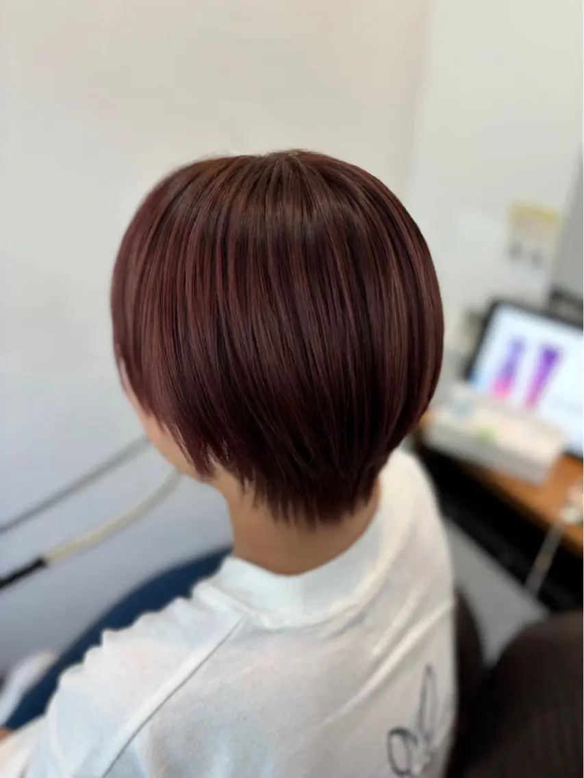 ショート カラー ヒナ/レイヤーカット 艶感ワンカラーのヘアスタイル