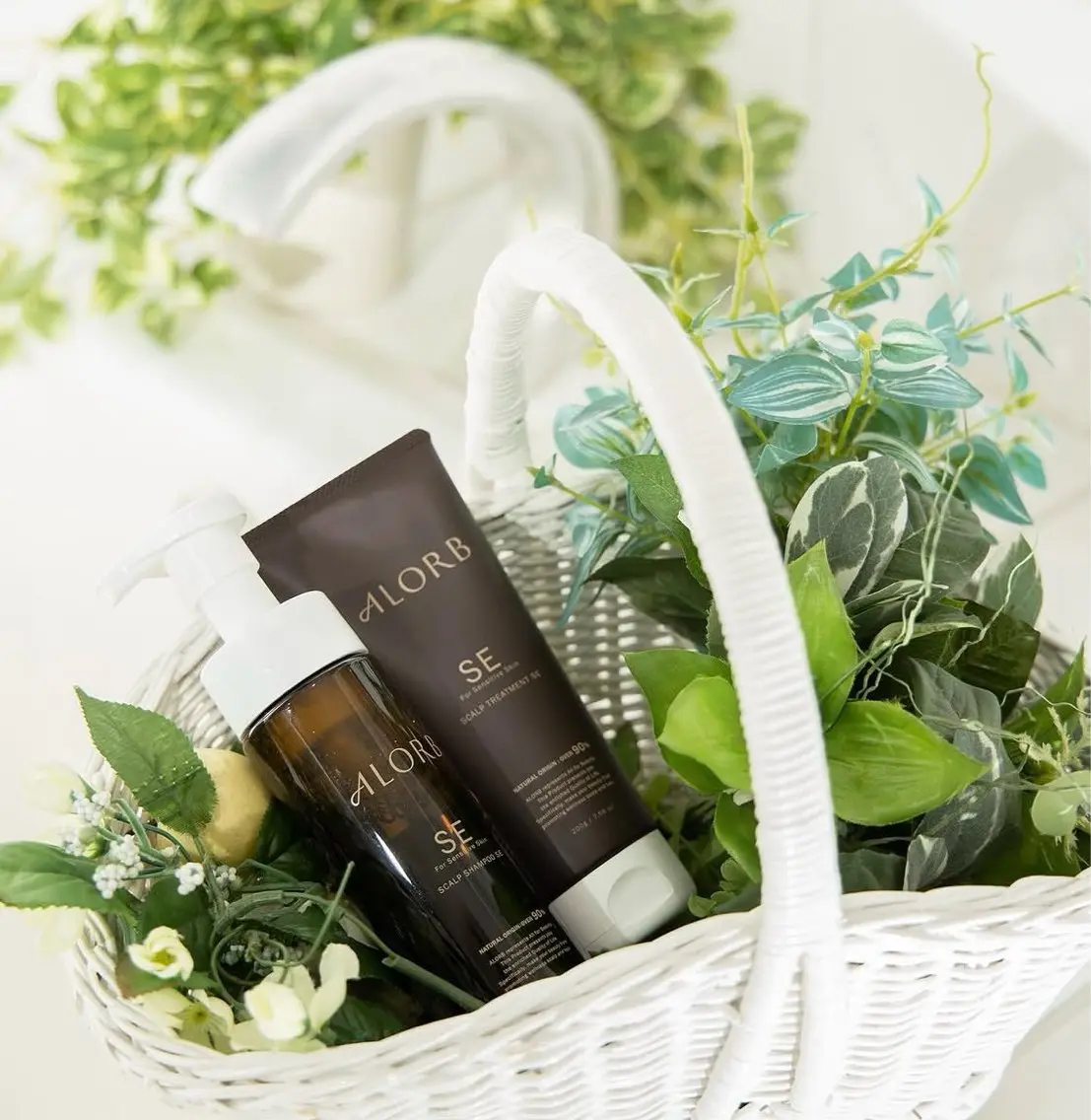 【当店限定‼︎】ALORBヘッドスパ30分🧖🫧の写真