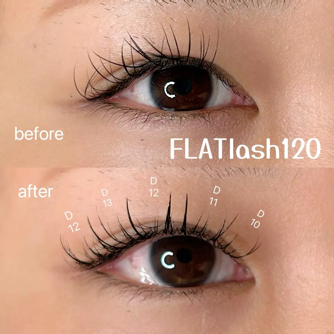 マツエク・マツパ フラットラッシュ ワンホンマツエク マツエク elua eyelashの眉毛・アイブロウイメージ