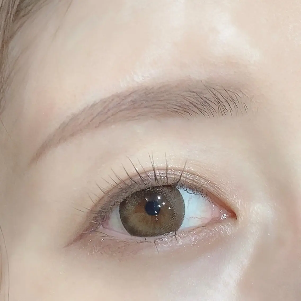 垢抜け✨️似合わせ美眉スタイリング【アーチ眉】平日￥440の写真