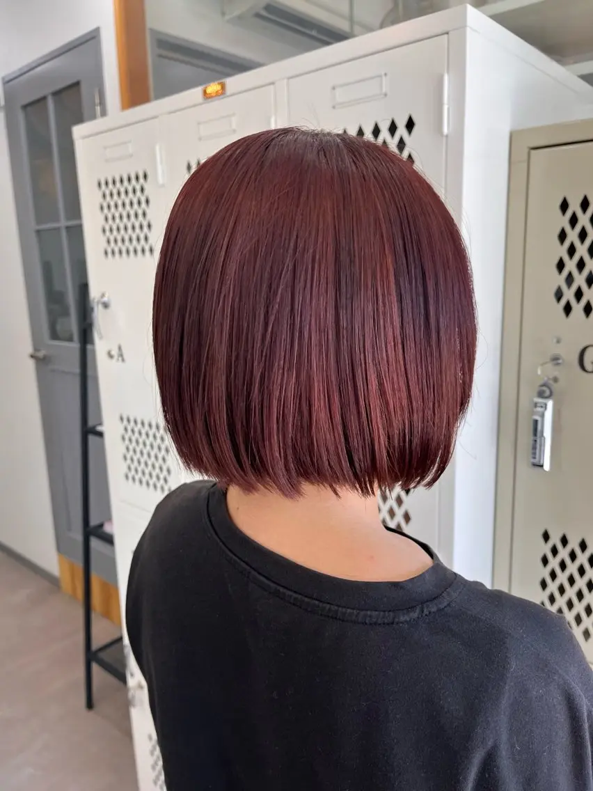 ショート カラー カシス レッドカラー 森田 菜留美のヘアスタイル