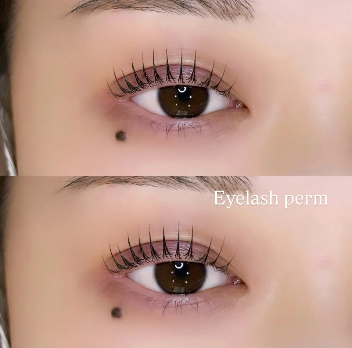 マツエク・マツパ マツパ prize iris ASUKAのマツエク・マツパデザイン