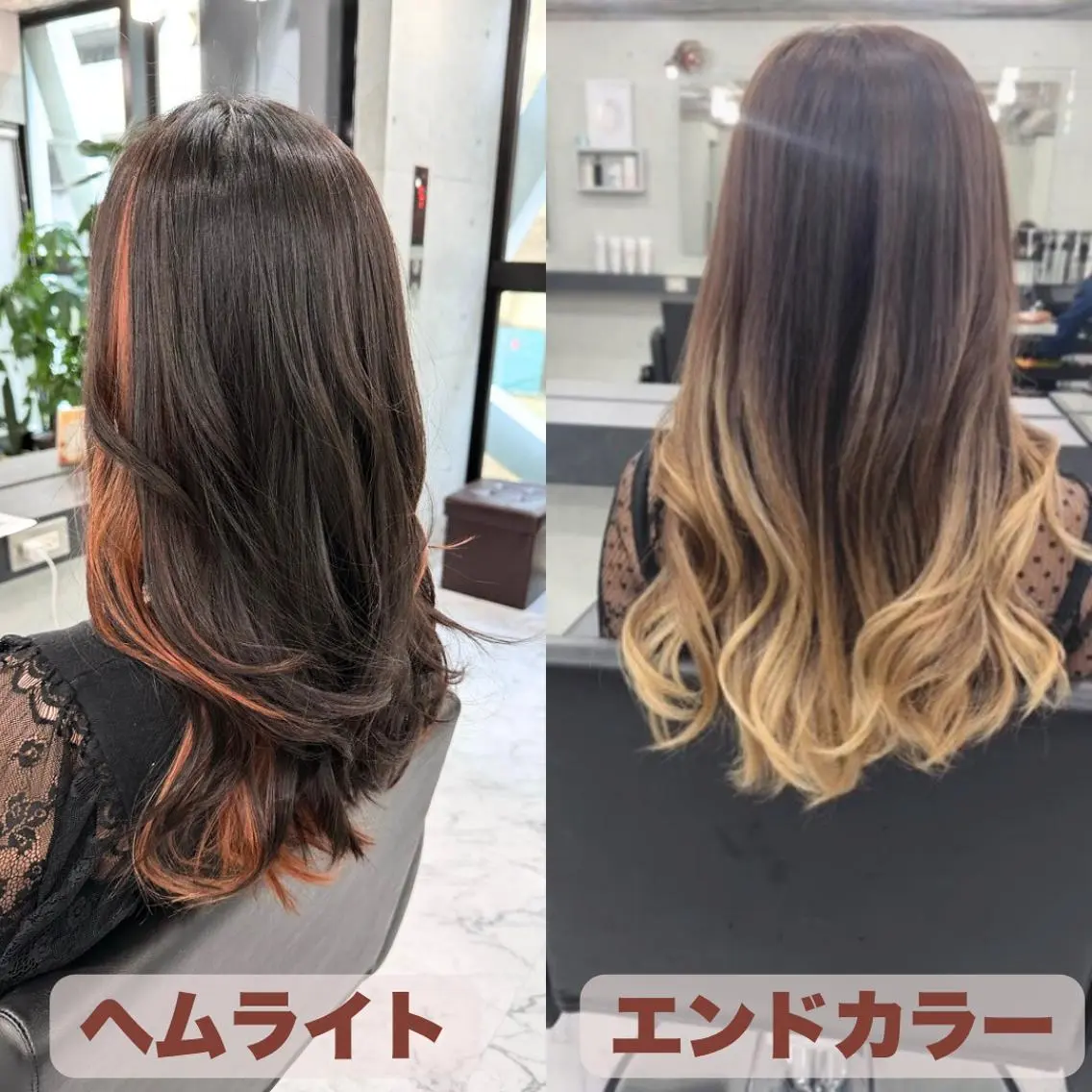 【スペシャルクーポン】✨毛先カット+ハイライトカラー+トリートメント✨の写真